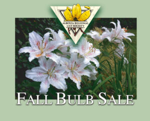 2024 Edmonton Fall Bulb Sale - Arch Greenhouses